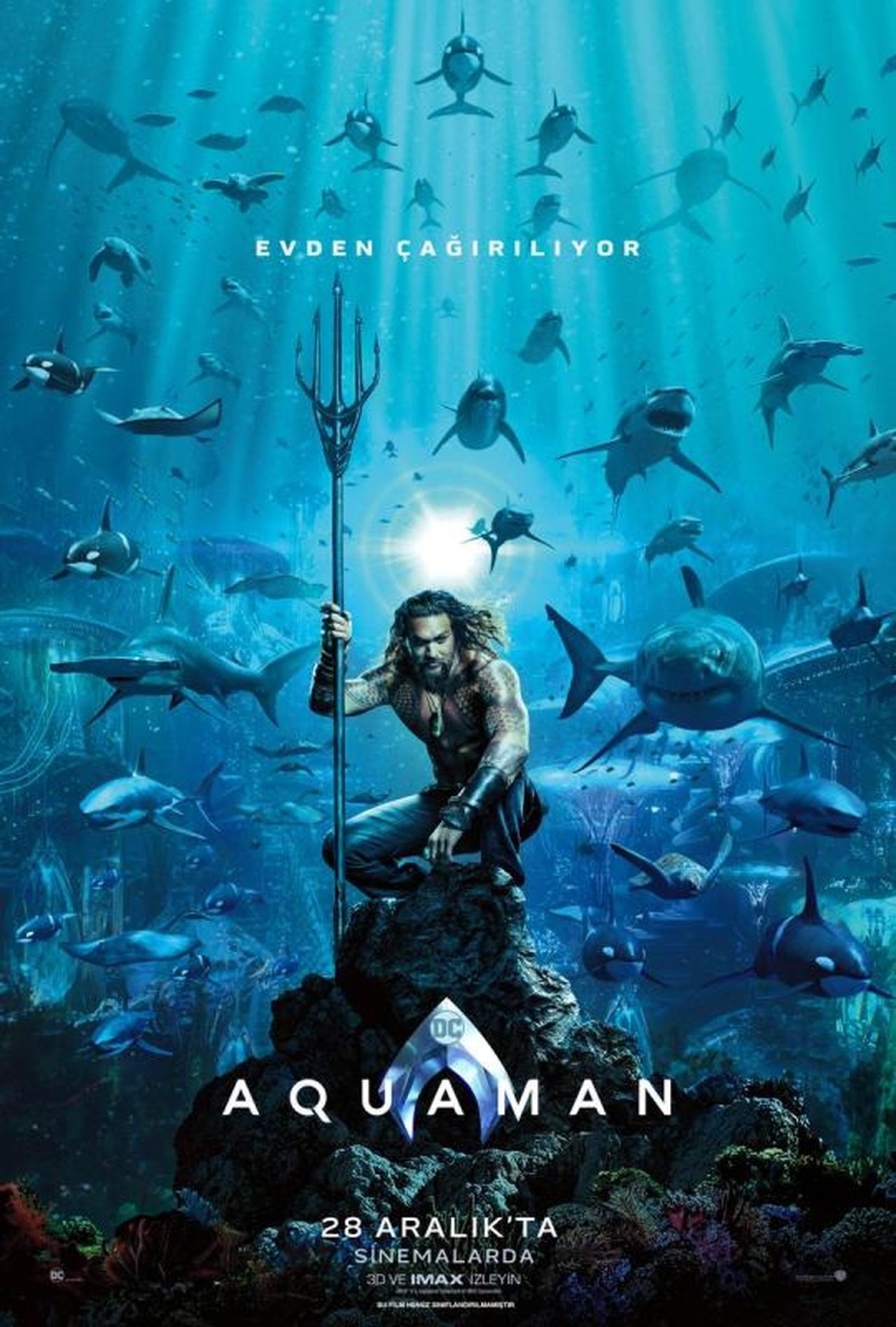 Aquaman (2018) 128Kbps 23.976Fps 48Khz 2.0Ch DD+ NF E-AC3 Turkish Audio TAC