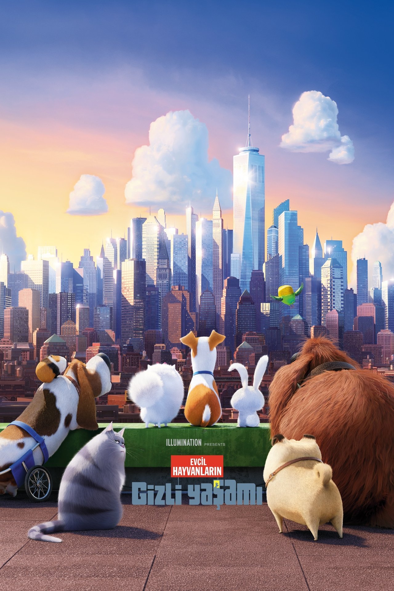 The Secret Life of Pets (2016) 224Kbps 23.976Fps 48Khz 2.0Ch DD+ AMZN E-AC3 Turkish Audio TAC