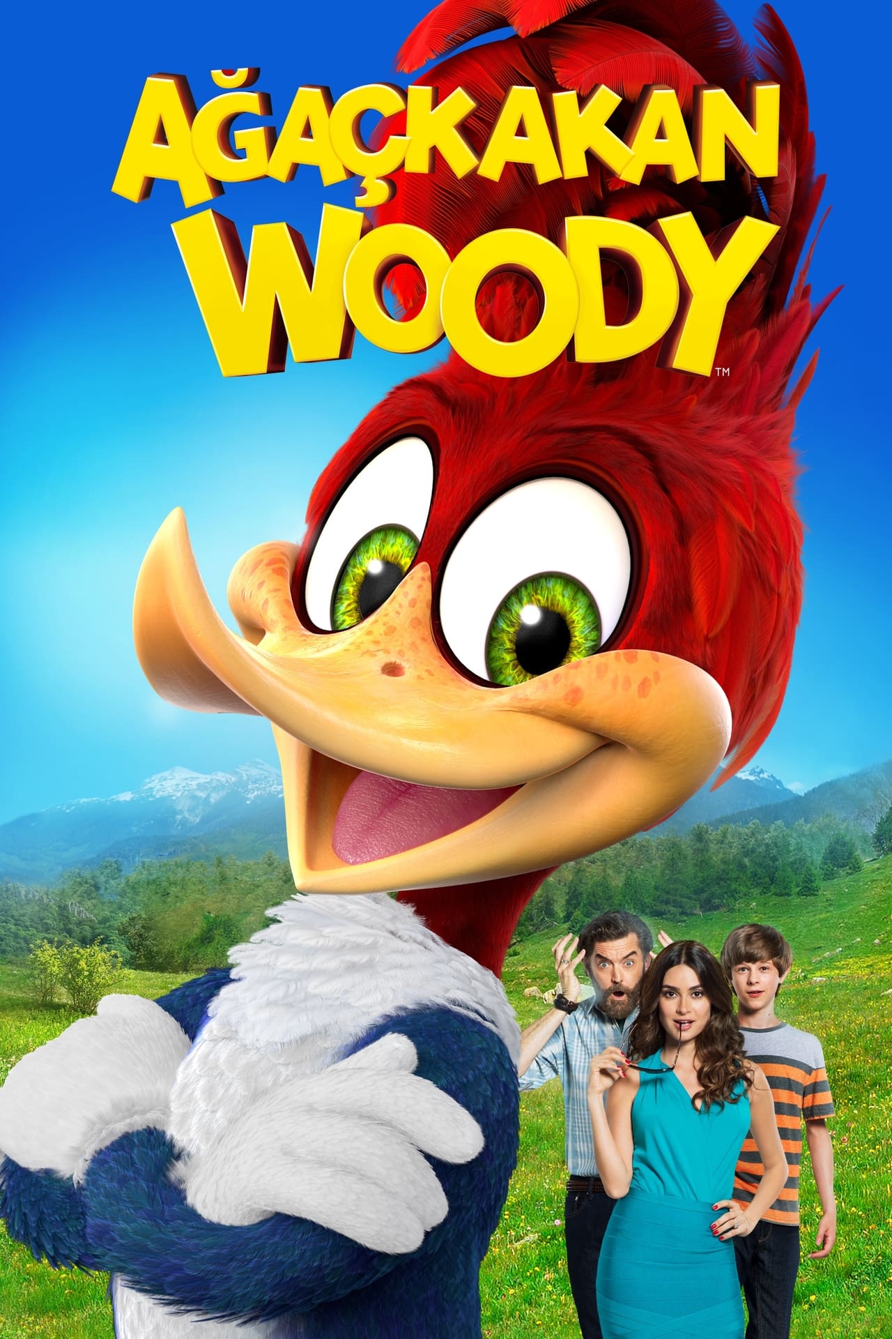 Woody Woodpecker (2017) V1 192Kbps 23.976Fps 48Khz 2.0Ch DigitalTV Turkish Audio TAC