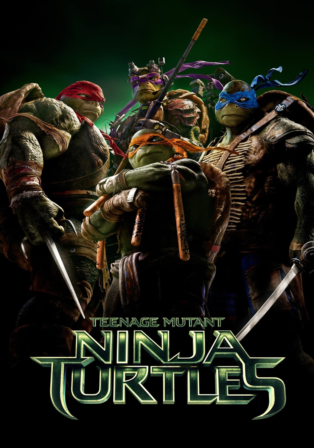 Teenage Mutant Ninja Turtles (2014) 640Kbps 23.976Fps 48Khz 5.1Ch BluRay Turkish Audio TAC