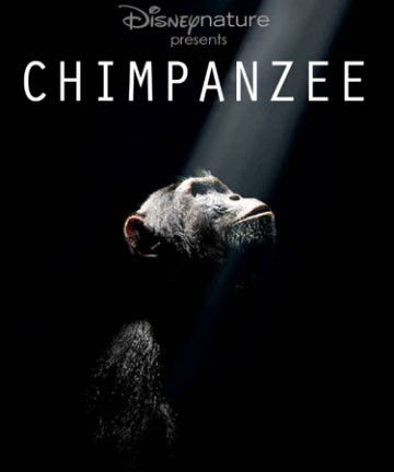 Chimpanzee (2012) 192Kbps 23.976Fps 48Khz 2.0Ch DigitalTV Turkish Audio TAC