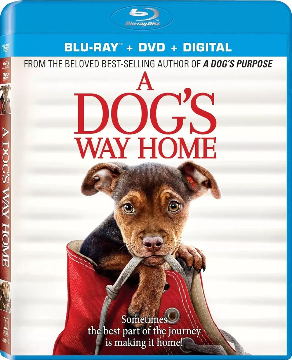 A Dog's Way Home (2019) 640Kbps 23.976Fps 48Khz 5.1Ch BluRay Turkish Audio TAC