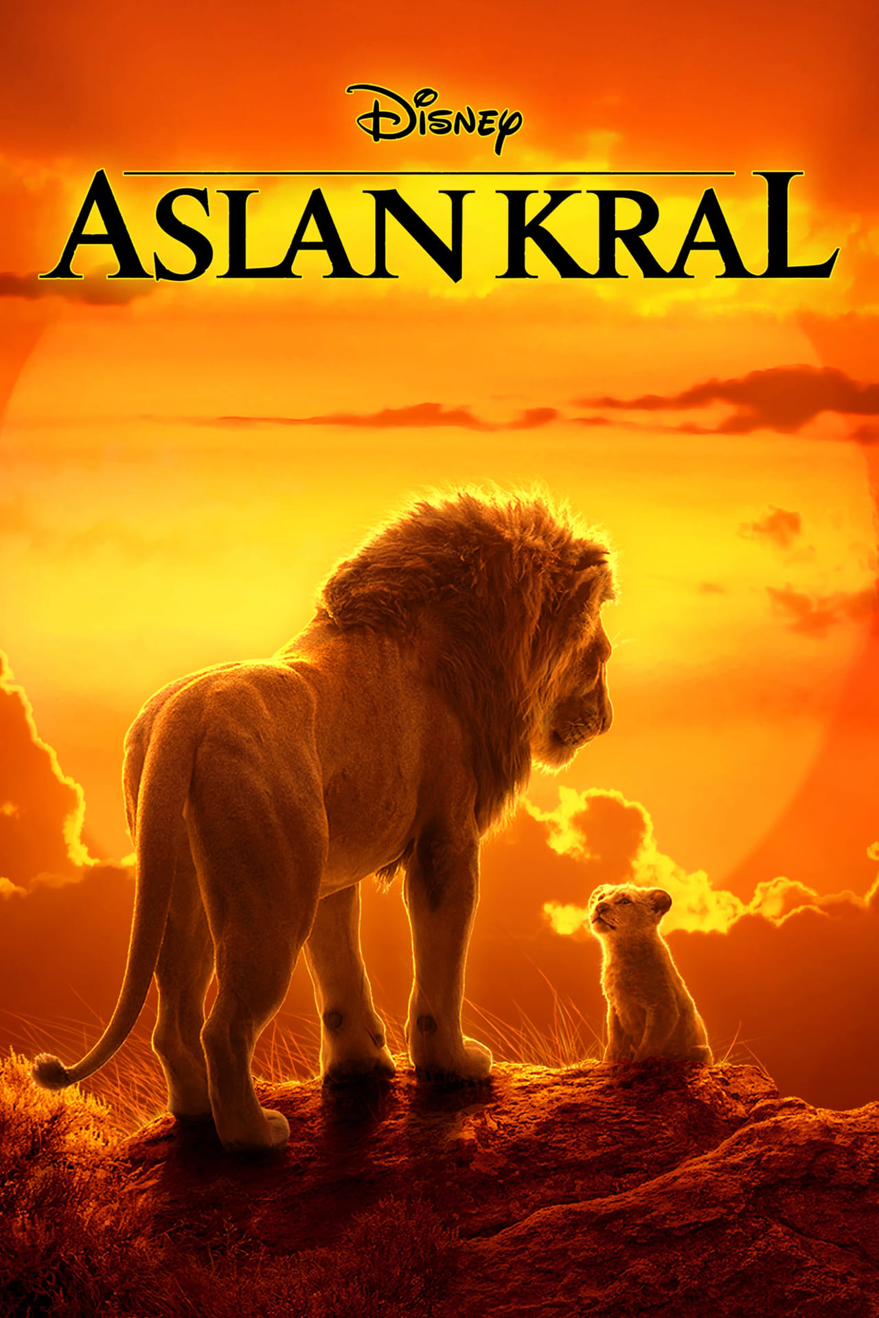 The Lion King (2019) 192Kbps 23.976Fps 48Khz 2.0Ch iTunes Turkish Audio TAC